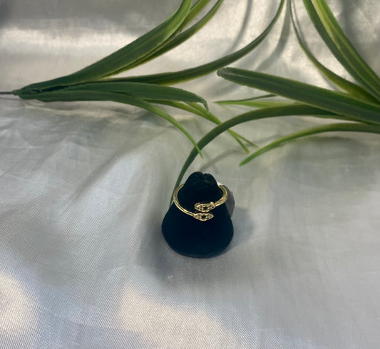 Anillo con ojos encontrados