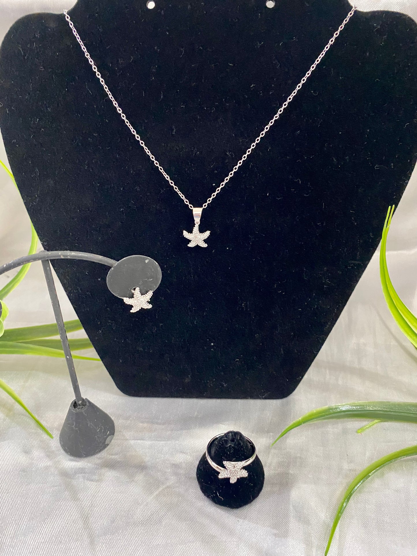 Juego Estrella de Mar mini