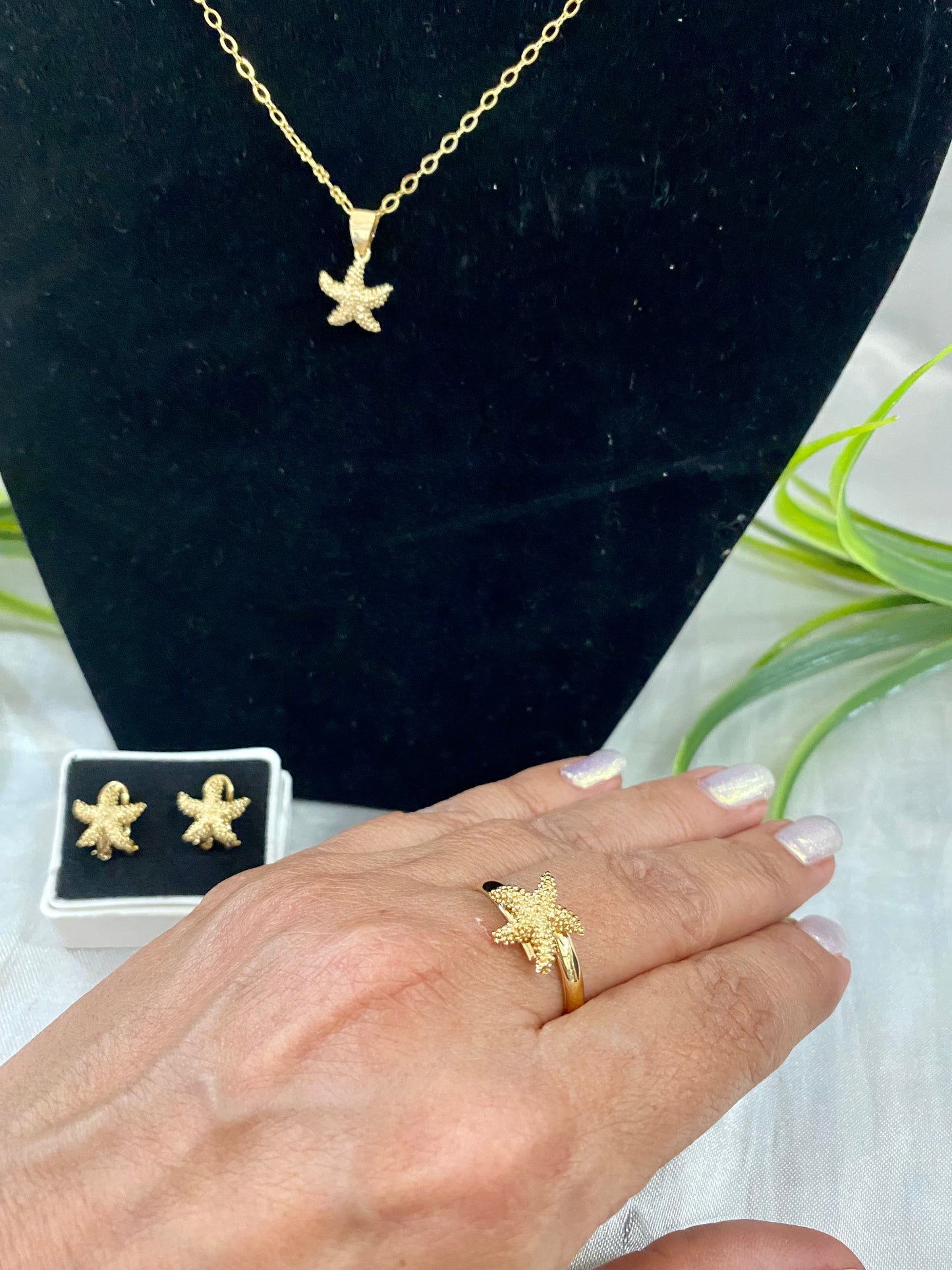 Juego Estrella de Mar mini