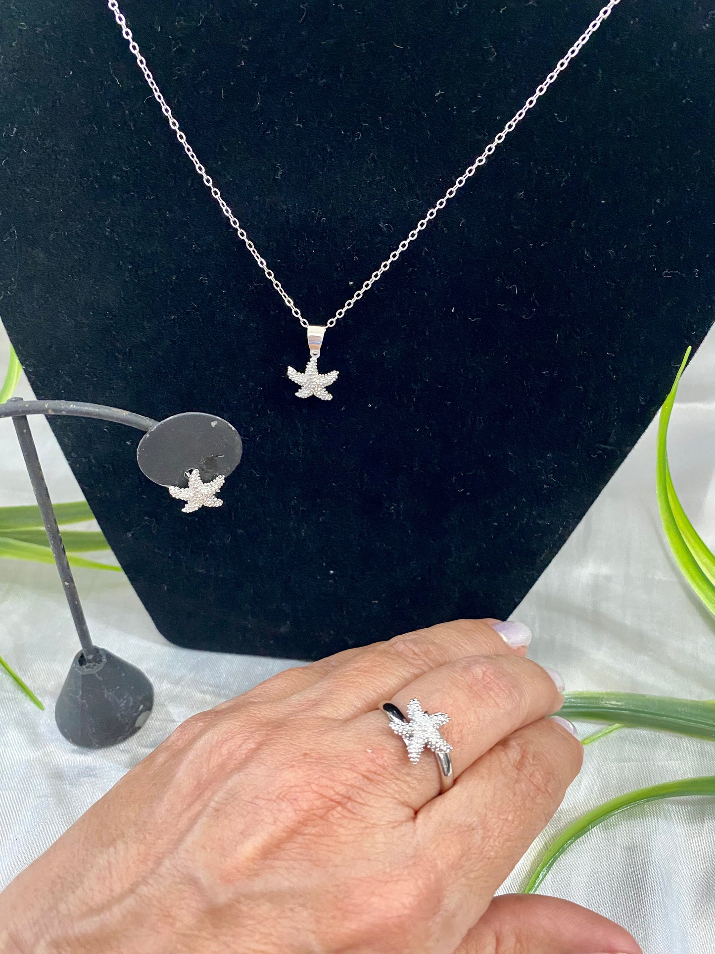 Juego Estrella de Mar mini